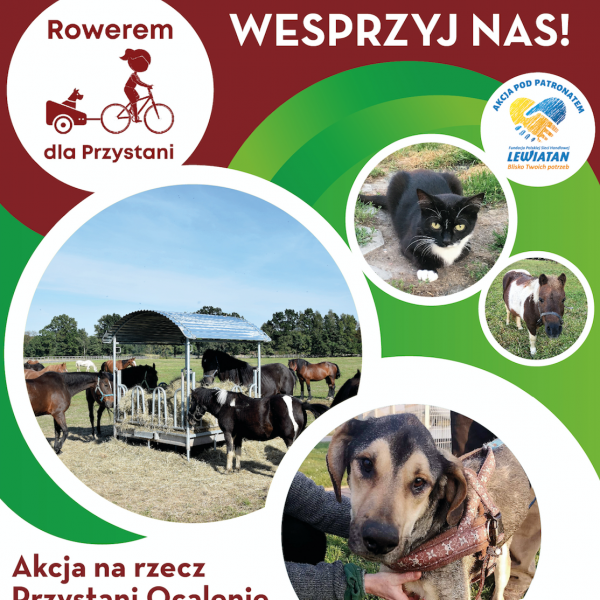 „Rowerem dla Przystani”