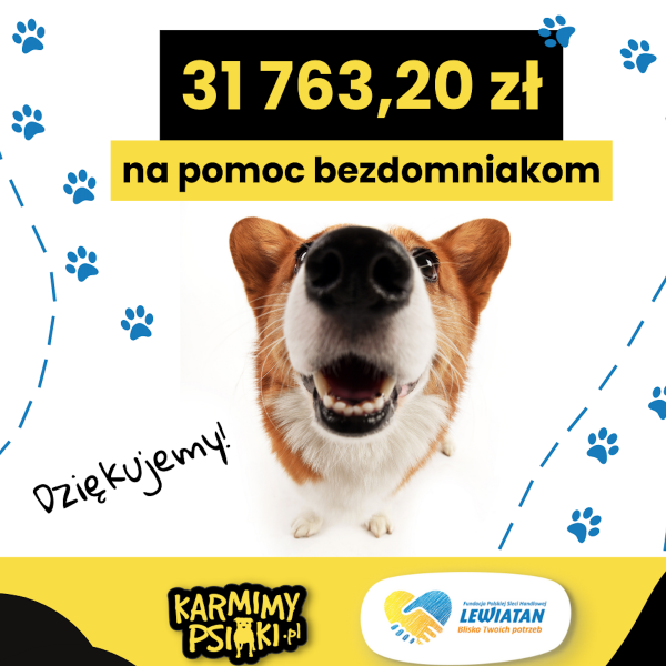 Na pomoc czworonogom